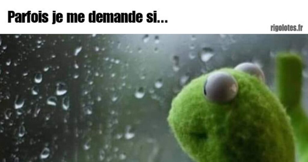 Je me demande si…